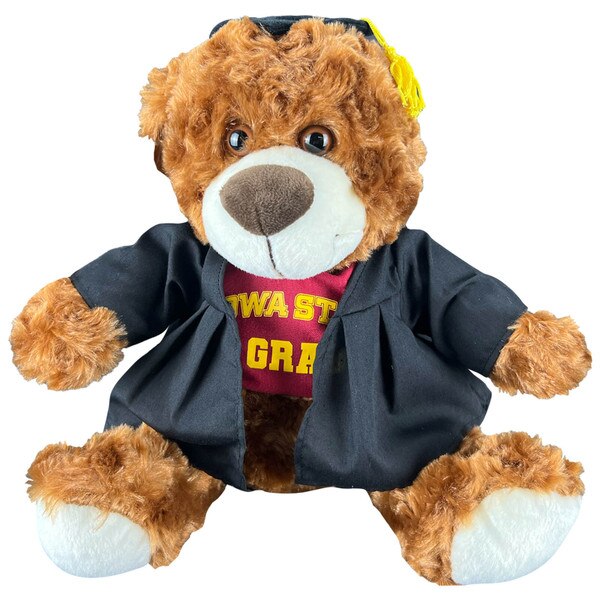 Iowa State Dark Brown Graduation Bear (was $24.99)